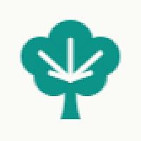 Branchify logo