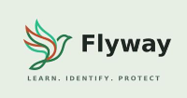 Flyway logo