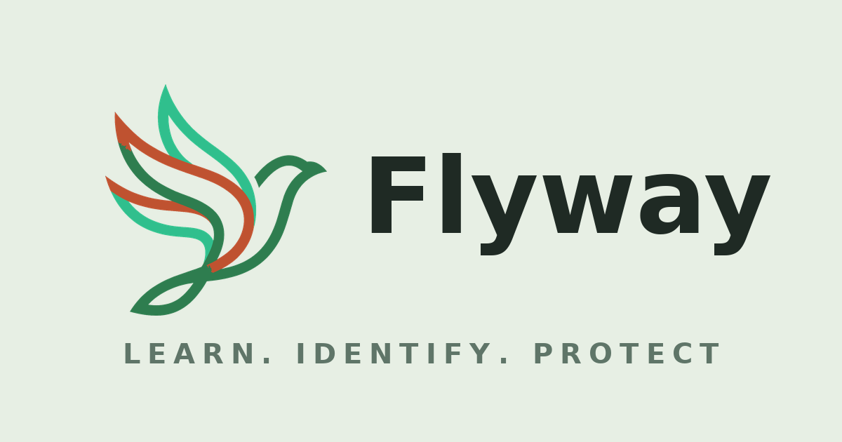 Flyway logo