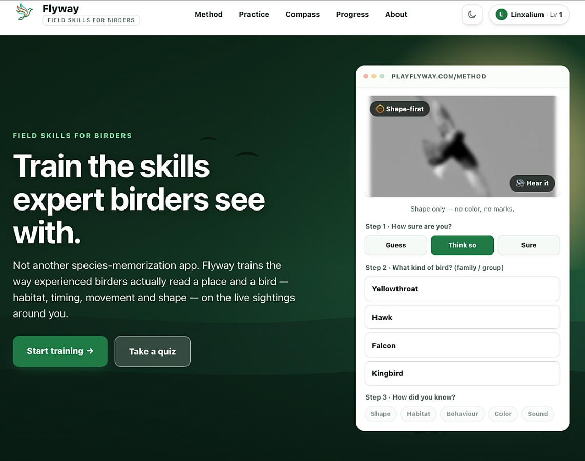 Flyway screenshot 2
