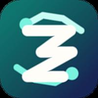 IcyZip logo