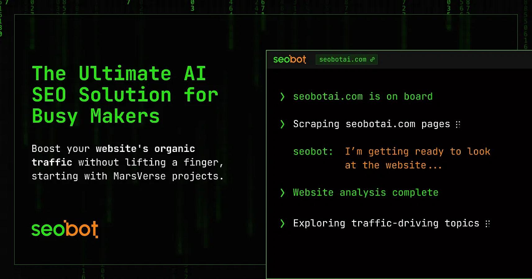SEObot screenshot 1